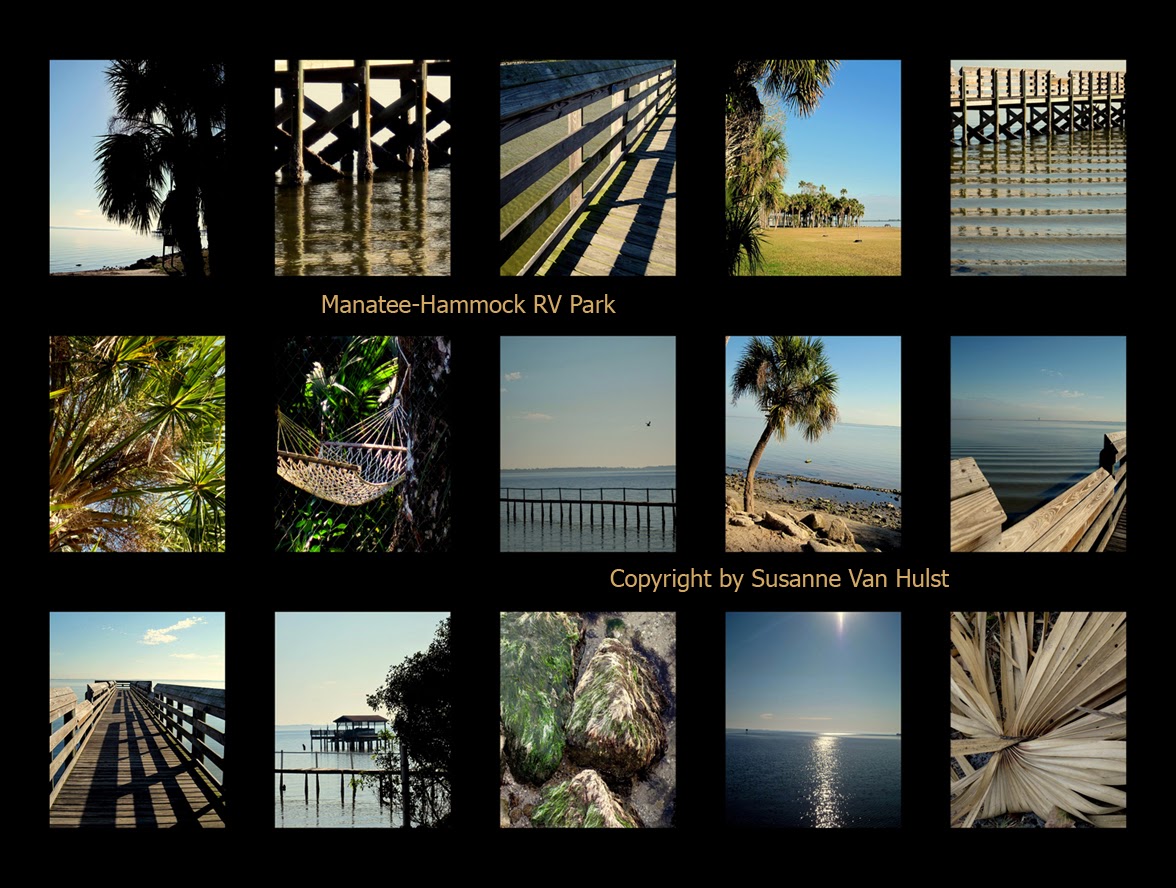 Sue's Daily Photography