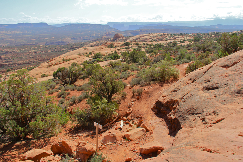 Arches: Windows Loop...Turrent Arch and Primitive Loop