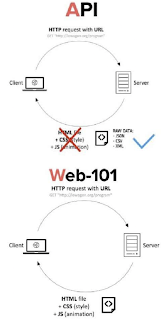 API vs WEB