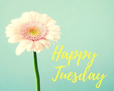 Beautiful Good Morning Tuesday Images