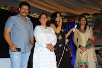 Three Audio Launch Gallery [Andhrula Music]