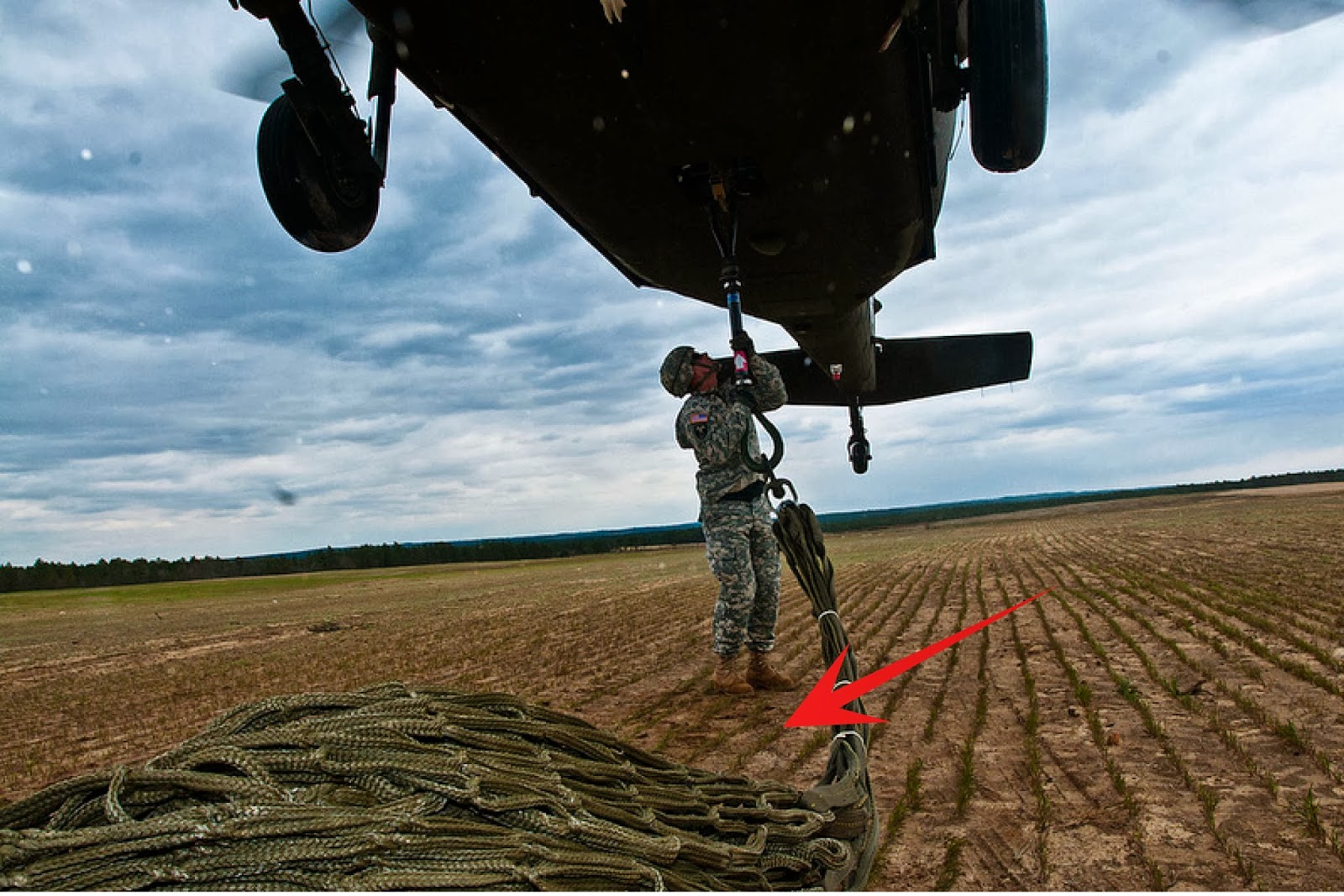 Pressed Leaf Photography Things I need More Flash