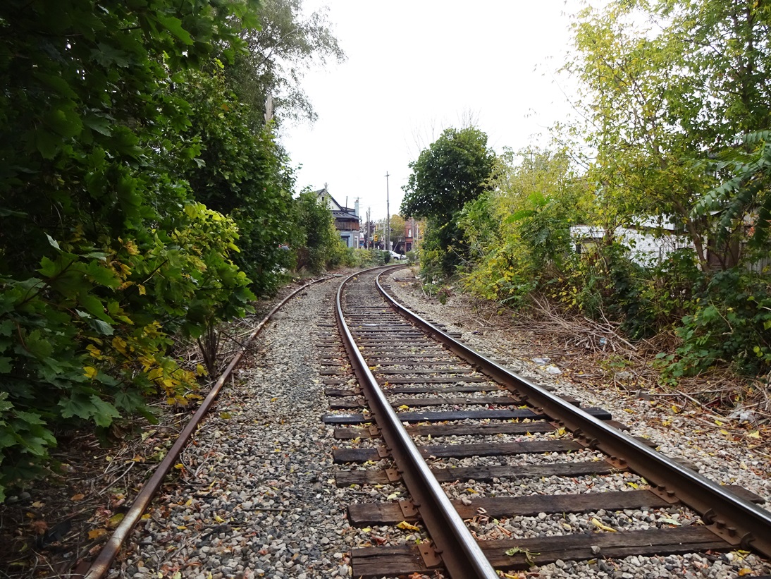 rapunzel jumped : living near the tracks / hamilton, ontario