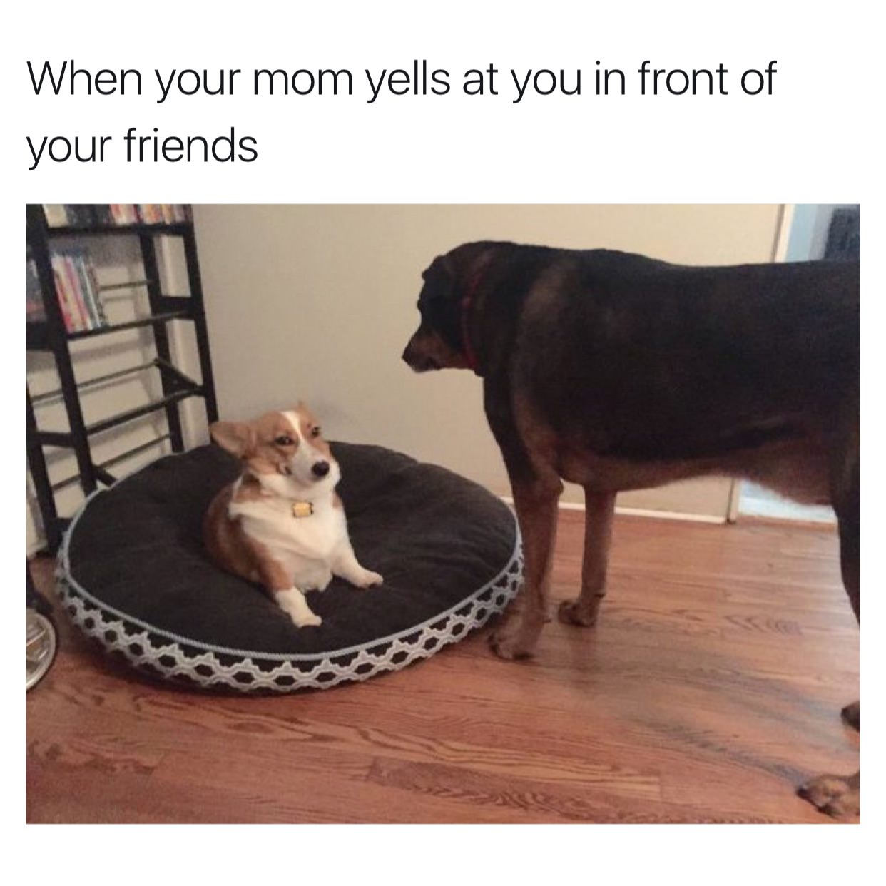Random Pics and Memes to Improve Your Mood (39 Pics) | 9GIG