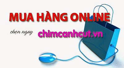 www.chimcanhcut.vn