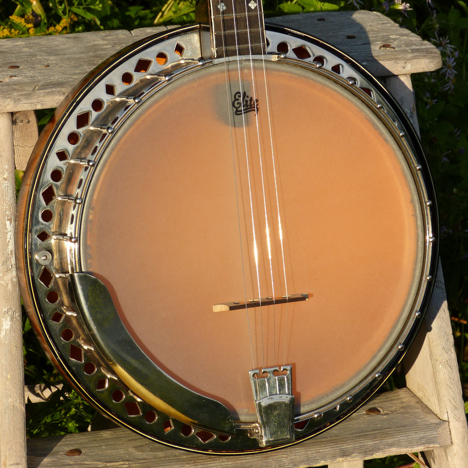 Jake Wildwood 1930s Kaymade Kay Kraft Resonator Plectrum Banjo