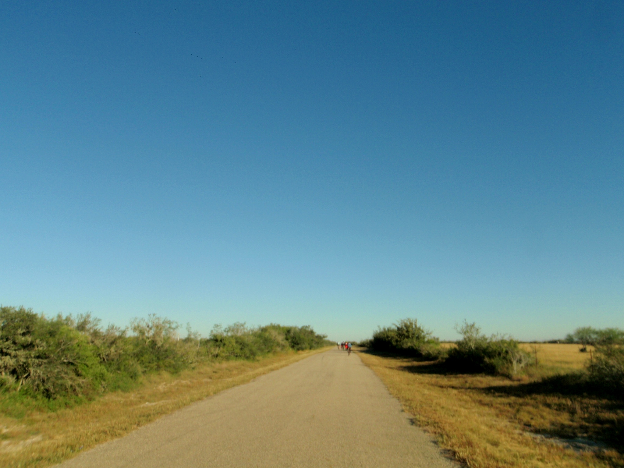 Pedal Pushers Tour de Honey