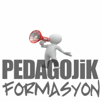 2012-2013 Pedagojik Formasyon Sonuçları