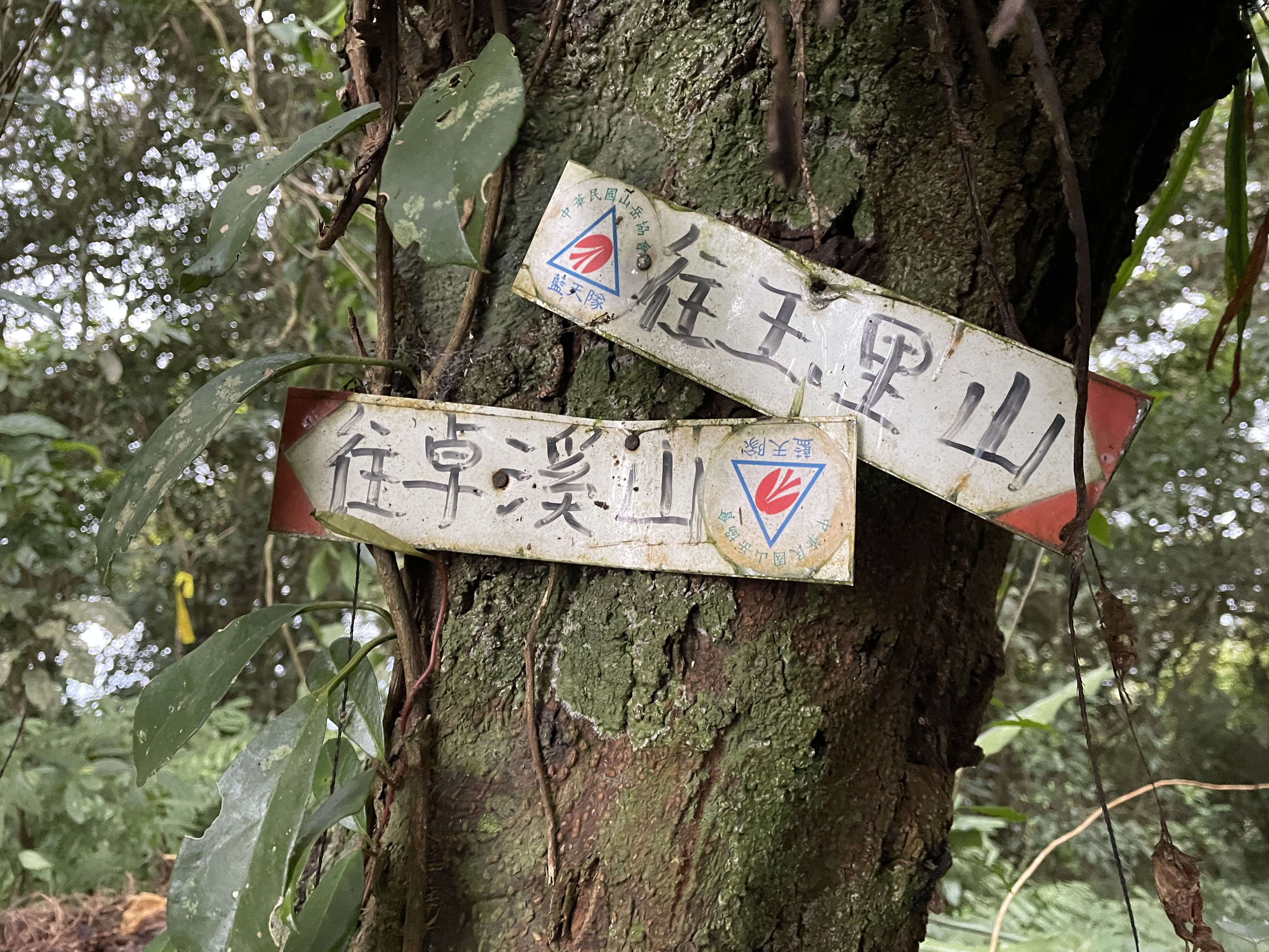 玉里山與卓溪山岔路