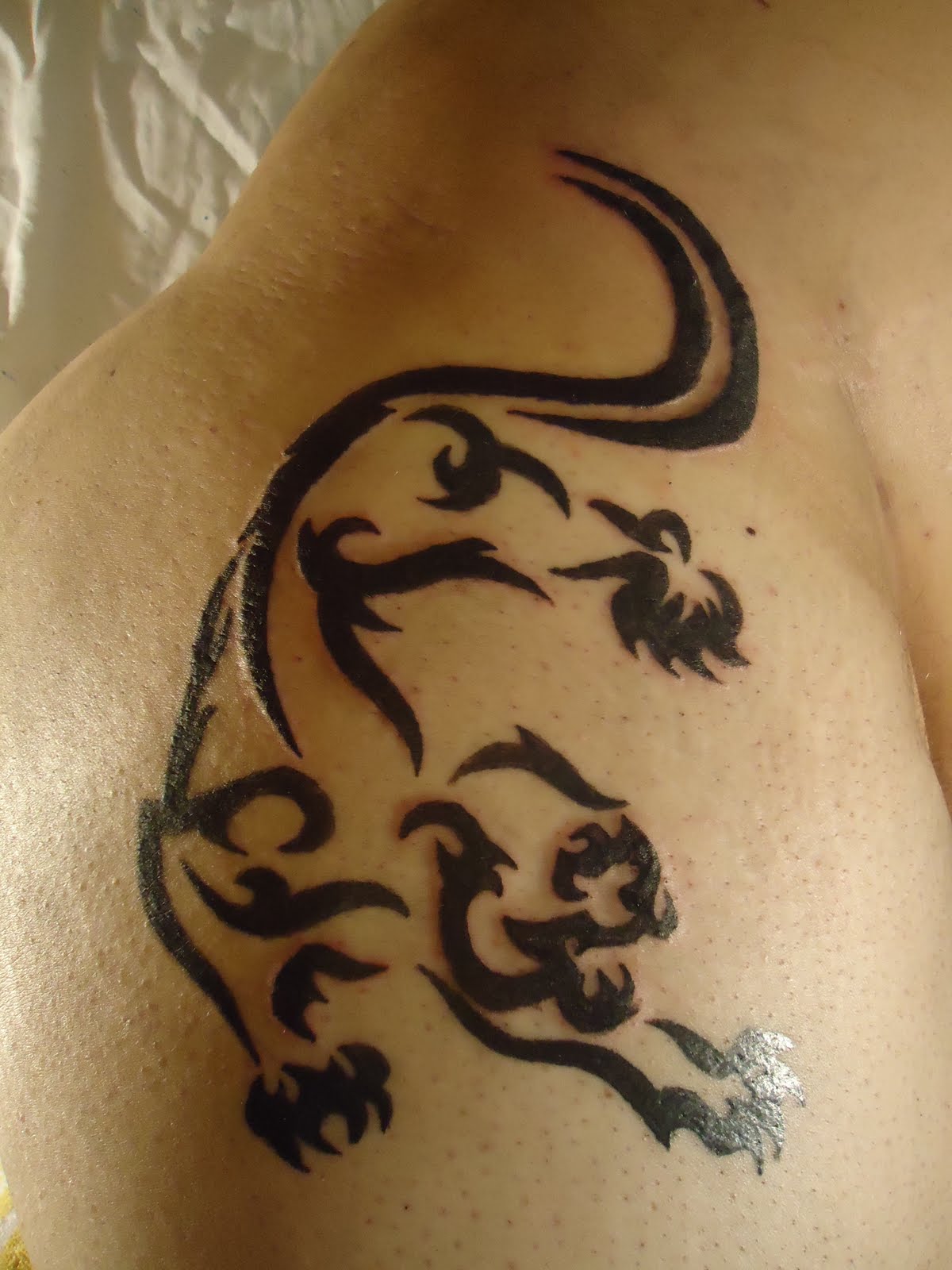 BLACK SKULL TATTOO & PIERCING: TATTOO 05/abril/2011 (PANTERA TRIBAL)