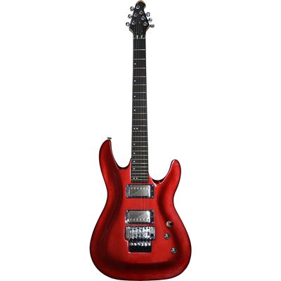 Guitarra EG-810