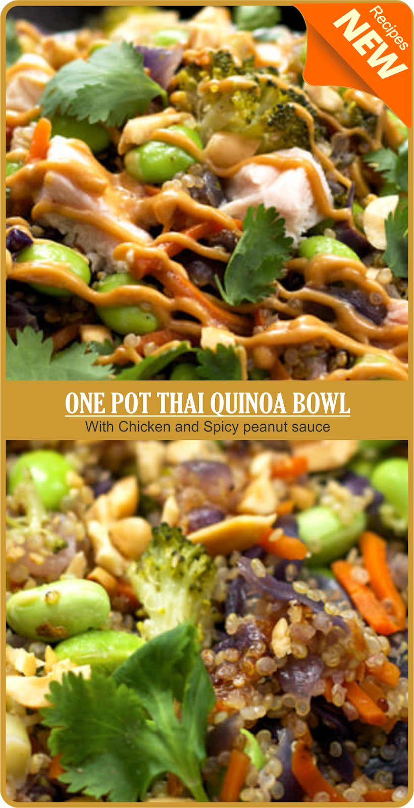 ONE POT THAI QUINOA BOWL WITH CHICKEN AND SPICY PEANUT SAUCE | Briana Berge