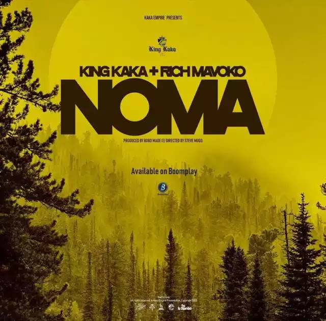 King kaka ft Rich mavoko - Noma