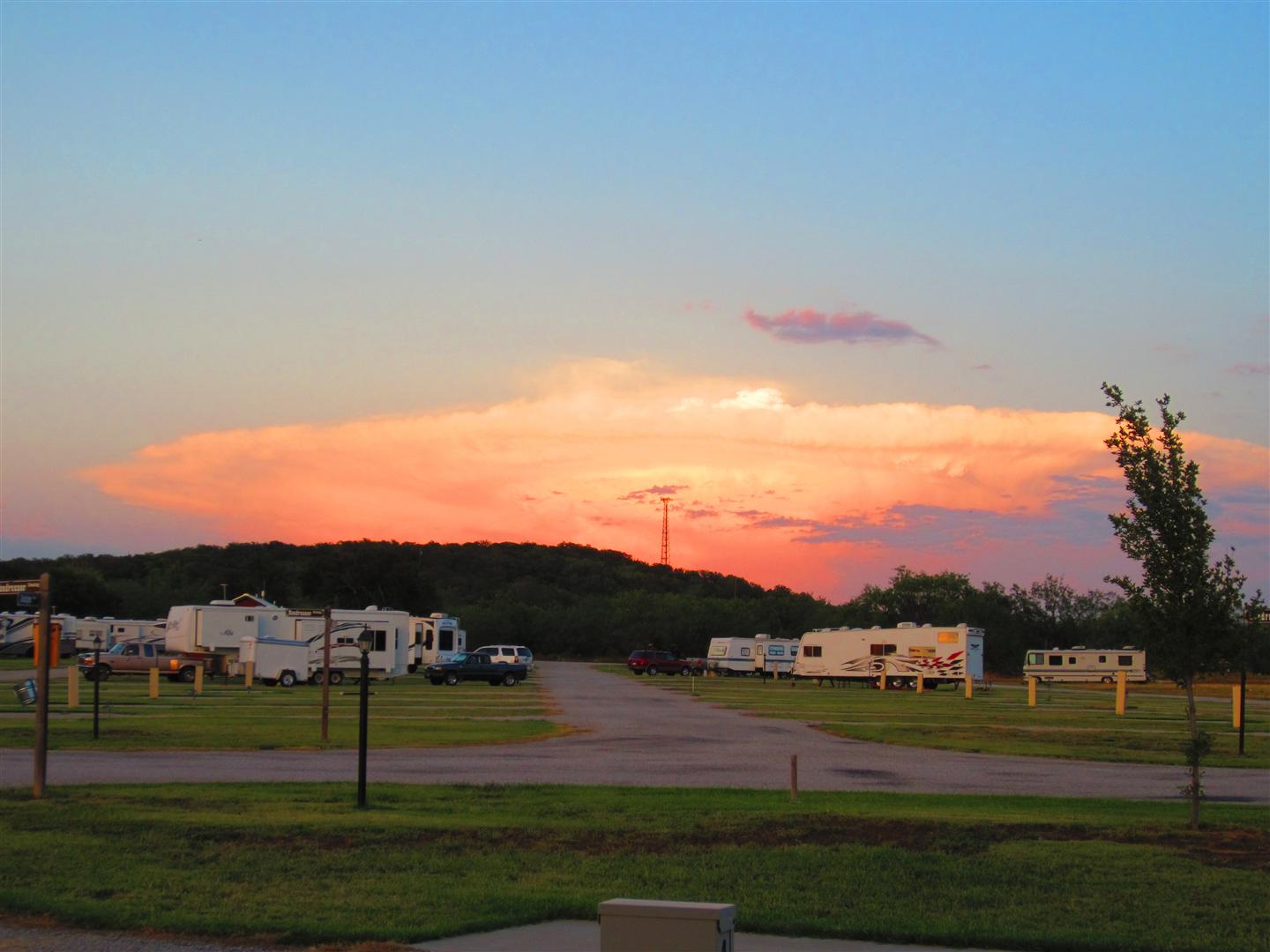 Wild, Wonderful Whites of the West Santo, TX