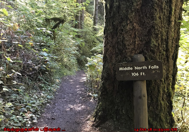 Middle North Falls in Trail of Ten Falls