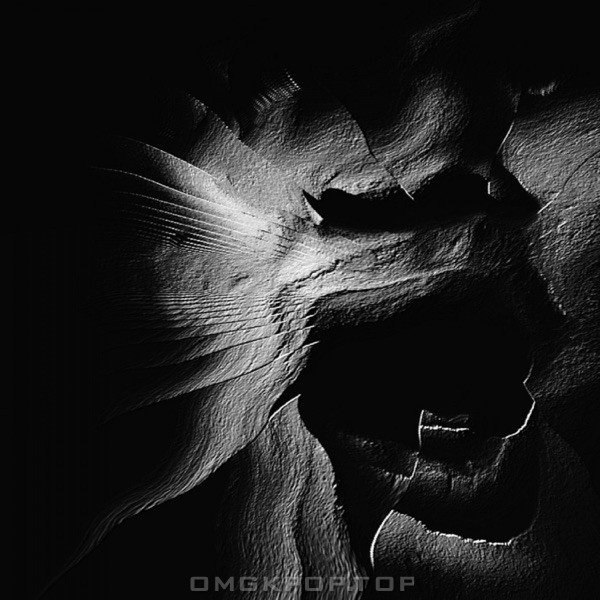 JINE – 부화 – Single