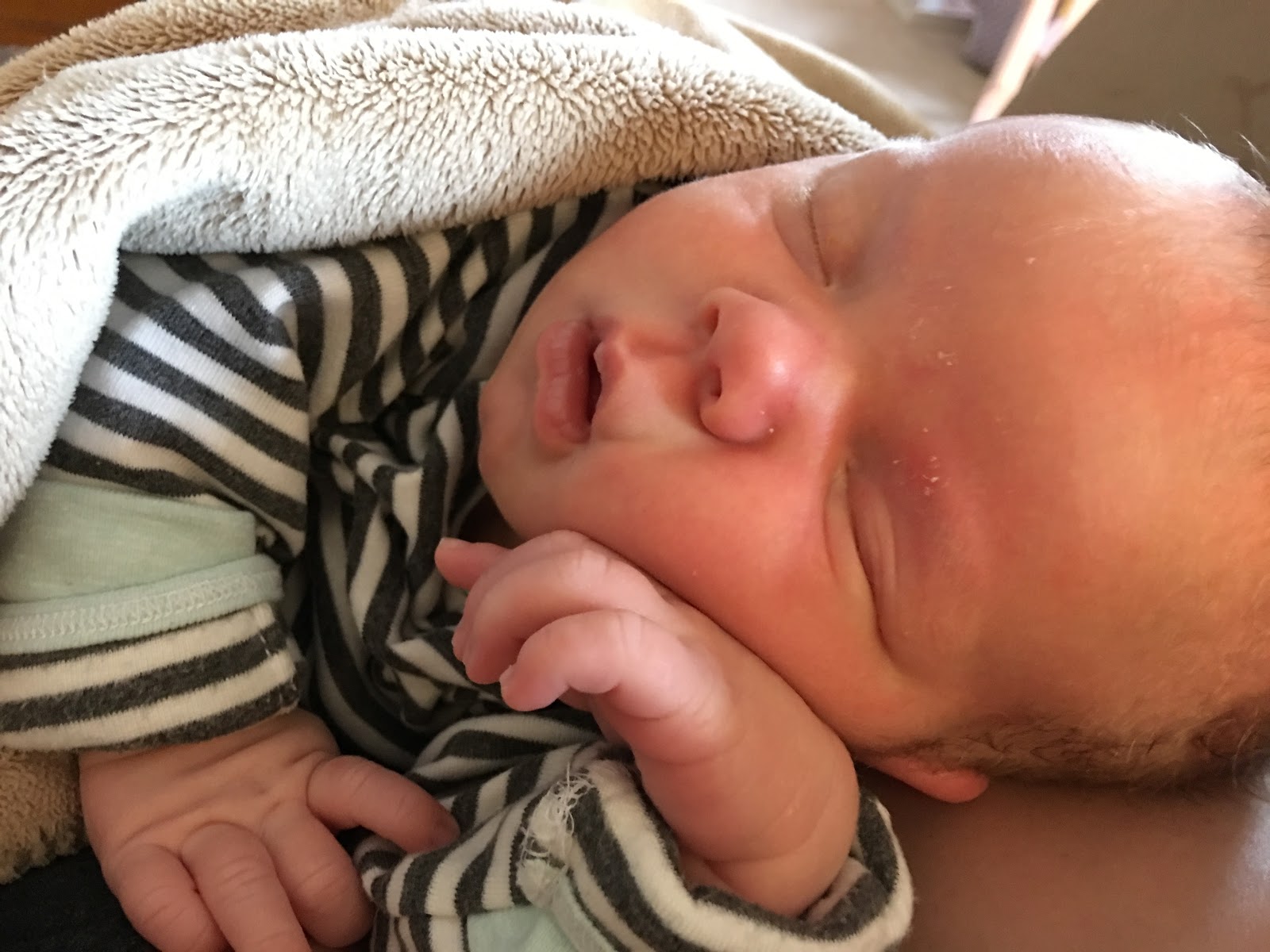 Leah Loo, Jelly Boo, and Teddy Too Royal Wedding, PCCS Art Show, Build