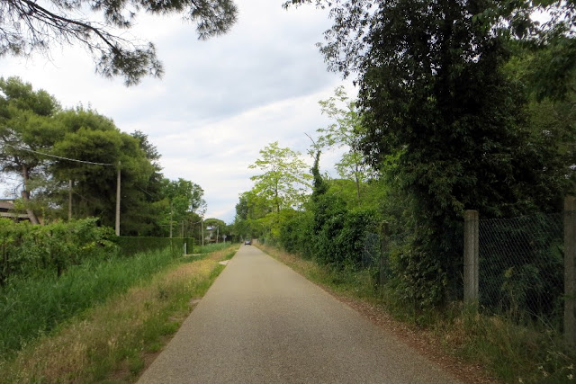 percorsi itinerari ciclabili cavallino