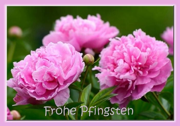 Gedankenreise Grusse Die Mich Erreichten