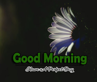 Beautiful-Good-Morning-4k-Images-Download-For-GF-Friend