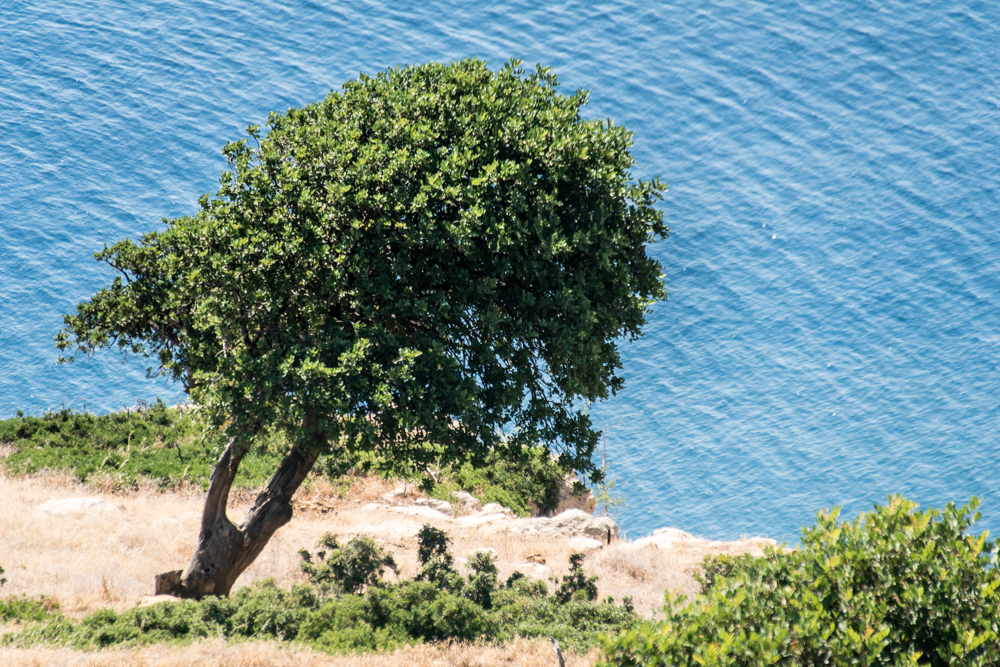 Art Fotos Fritz Malaman: Urlaub auf Kreta 14.06.2015 - 21.06.2015, Anreise