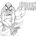 Gambar Spiderman Hitam Putih untuk Diwarnai Anak TK dan SD