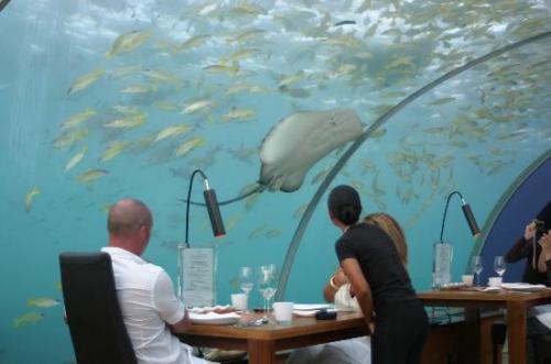 World's First All-glass Undersea Restaurant World's First All-glass Undersea Restaurant