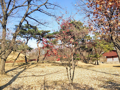 선정릉공원