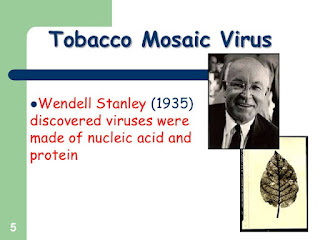 virus