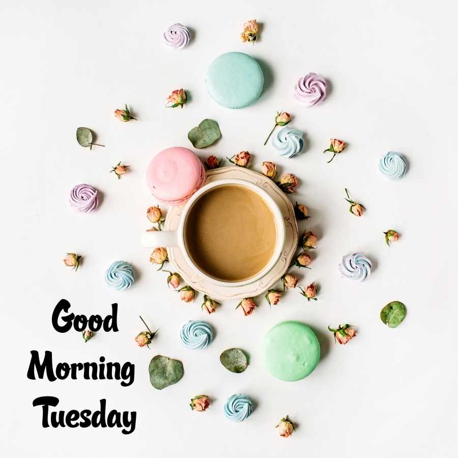 good morning tuesday pictures