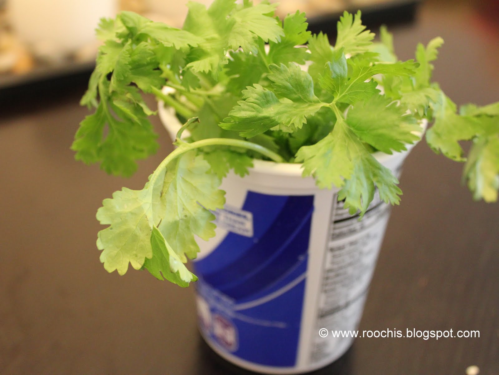 Coriander Leaves sitting in the fridge for 11 days