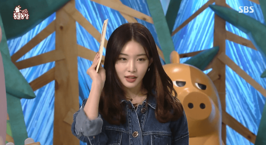 장예원 퇴사한 동물농장 근황 (feat. 청하) .GIF