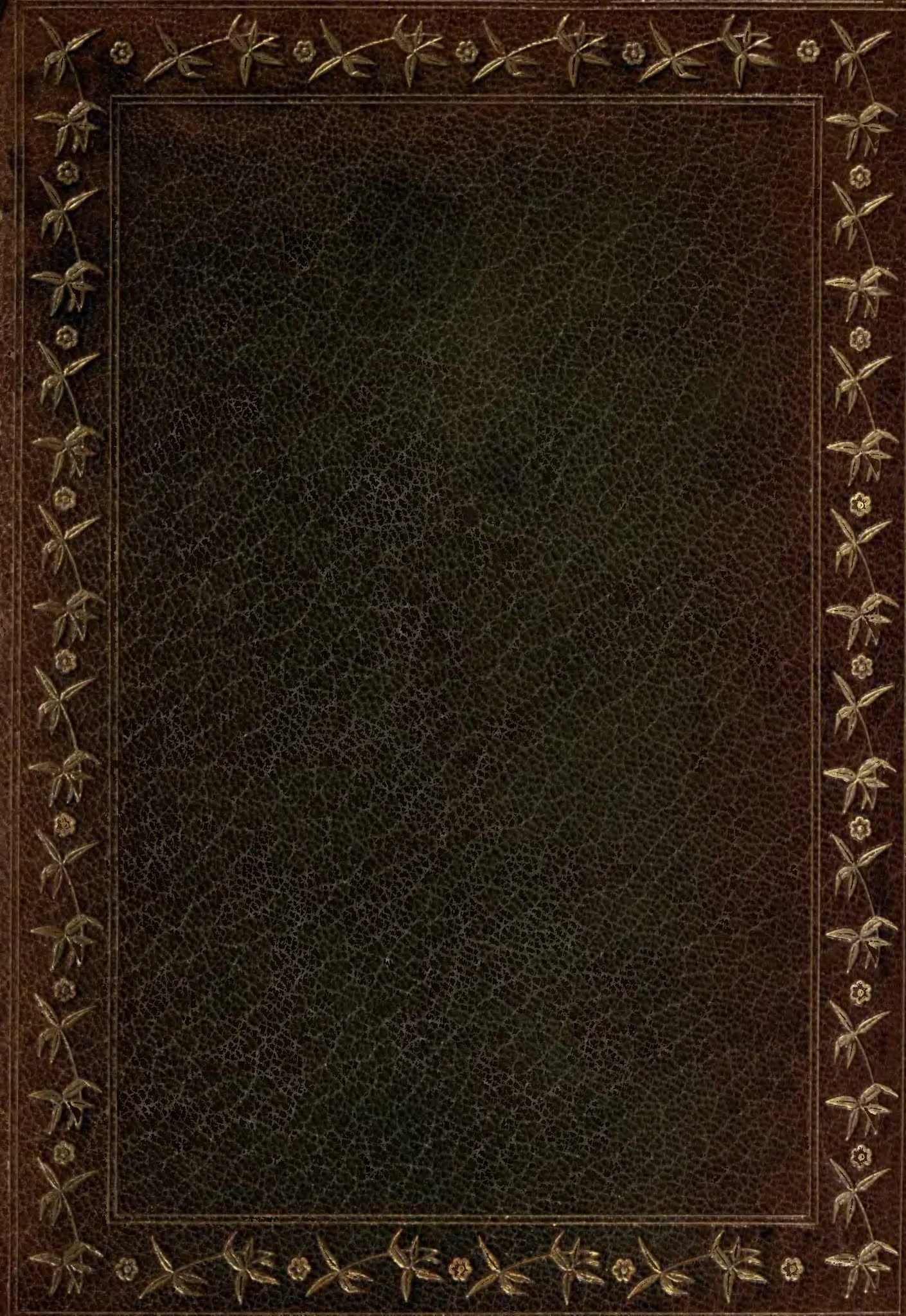 エドガー・アラン・ポーの『黒猫』を含む小説集（第二版）の無地の茶色の表紙