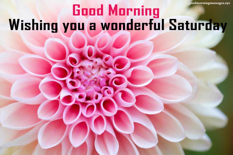 good morning saturday hd