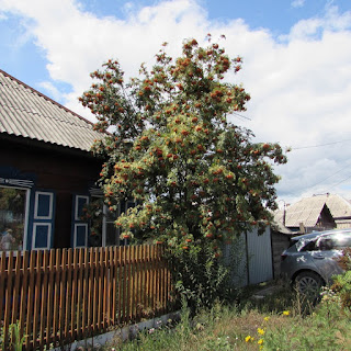 Волшебный фонарик Рябина