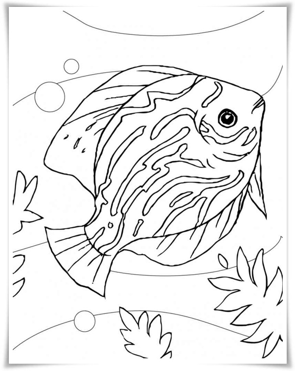 Ausmalbilder zum Ausdrucken Ausmalbilder Fische Ausmalbilder zum Ausdrucken Ausmalbilder Fische