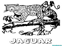 Mewarnai Gambar Binatang Jaguar Berjalan Di Dahan Pohon