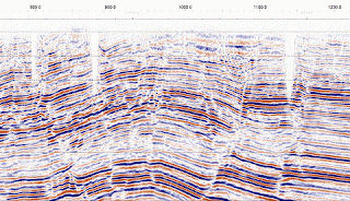 seismic section