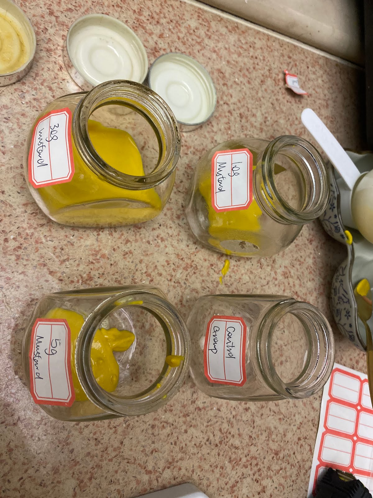 First Experiment how do emulsifiers and stablizers affect the