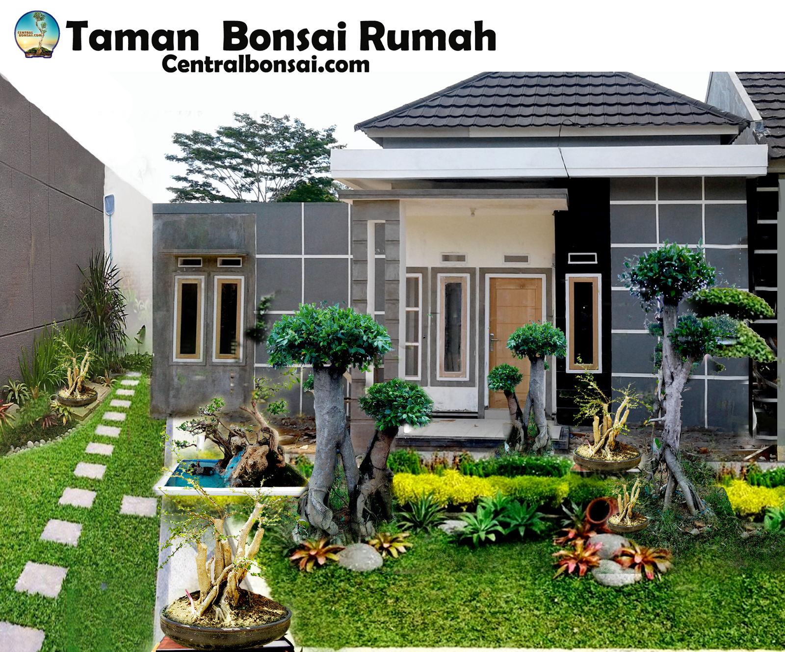 Rumah Kecil Dengan Taman Bonsai Terlihat Asri Sejuk