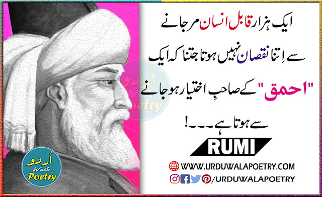 Maulan Rumi Quotes on Foolish Man, Capable Men Quotes in Urdu & English