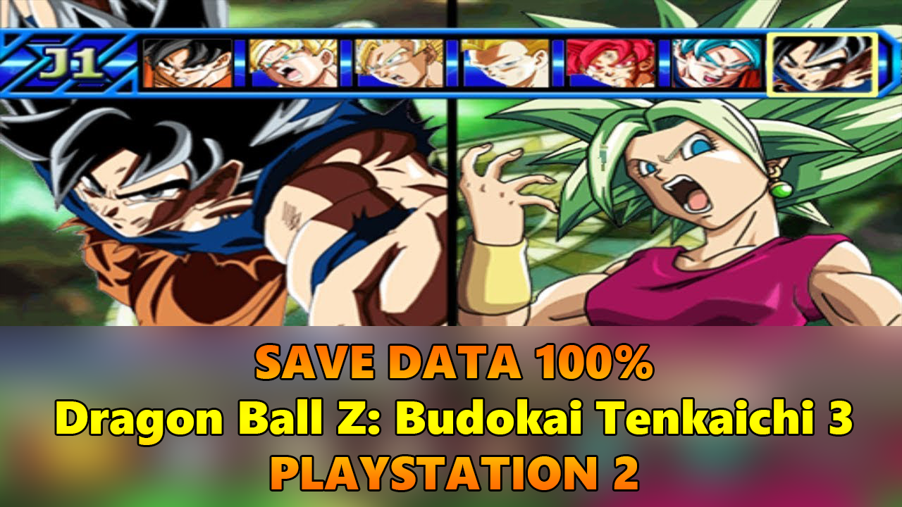 Budokai Budokai