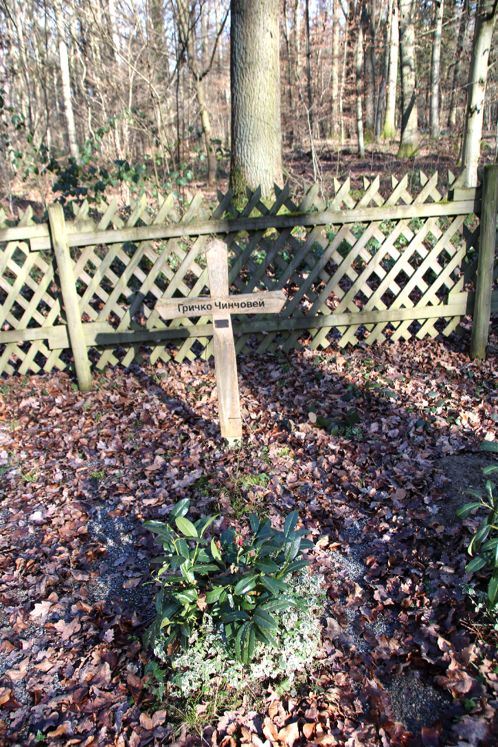 Sommerrollen Mit Ingwer Soja Erdnuss Dip Lecker Co Foodblog