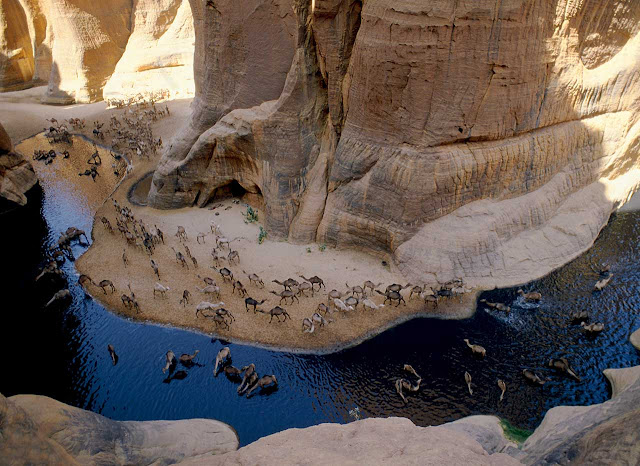 Guelta d"Archei, o cânion dos Camelos de Chade