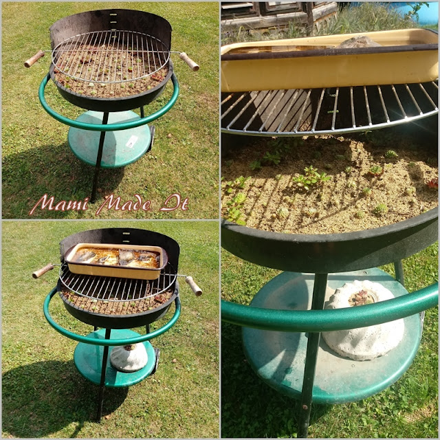 Griller-Hauswurztopf-Vogelbad-Kombination/barbecue grill-houseleek-birdbath-combination