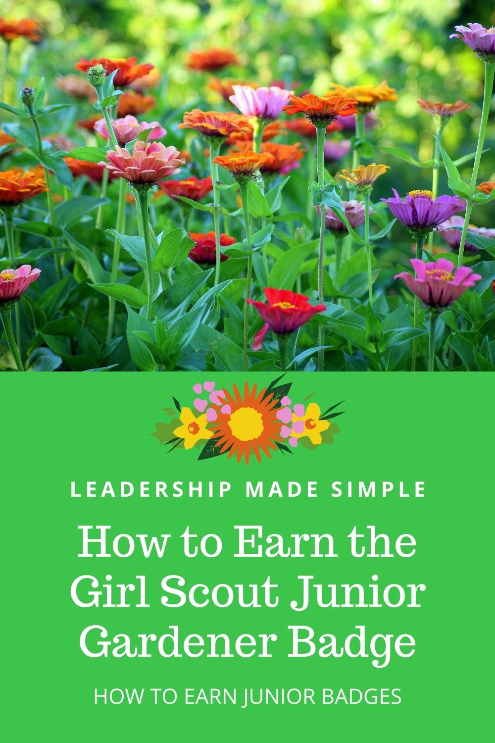 How to Earn Junior Girl Scout Badges How to Earn the Girl Scout Junior