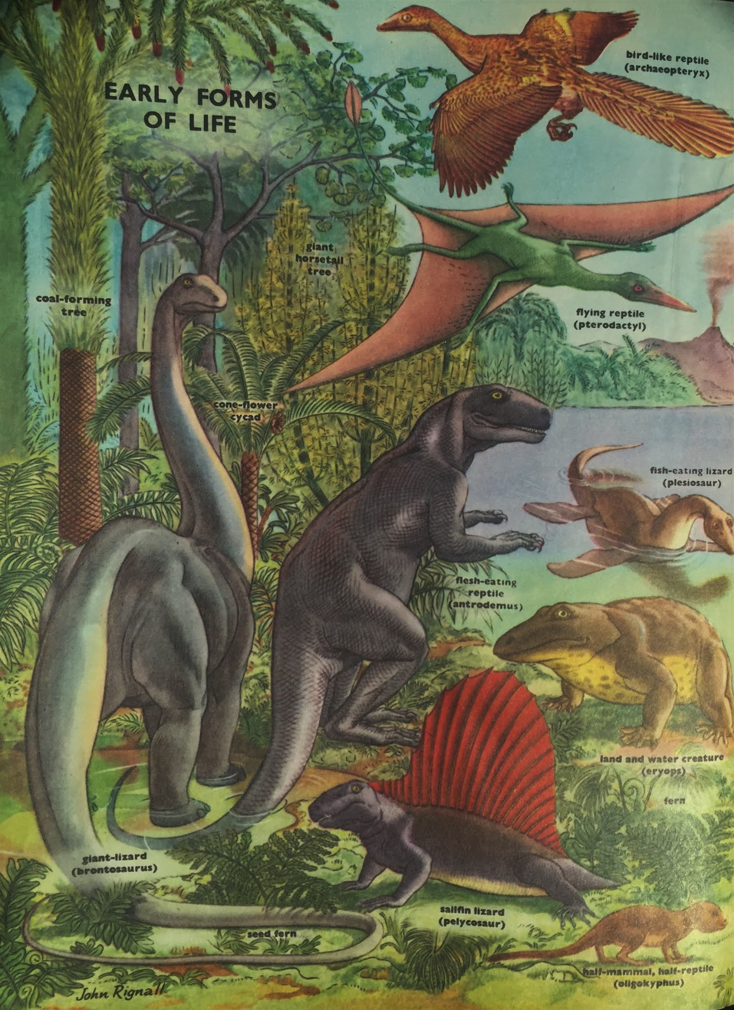 Downed Robin: Paleoart: the next generation
