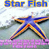 Star Fish कैसे दिखती है और ये एक समुद्री मछली है
