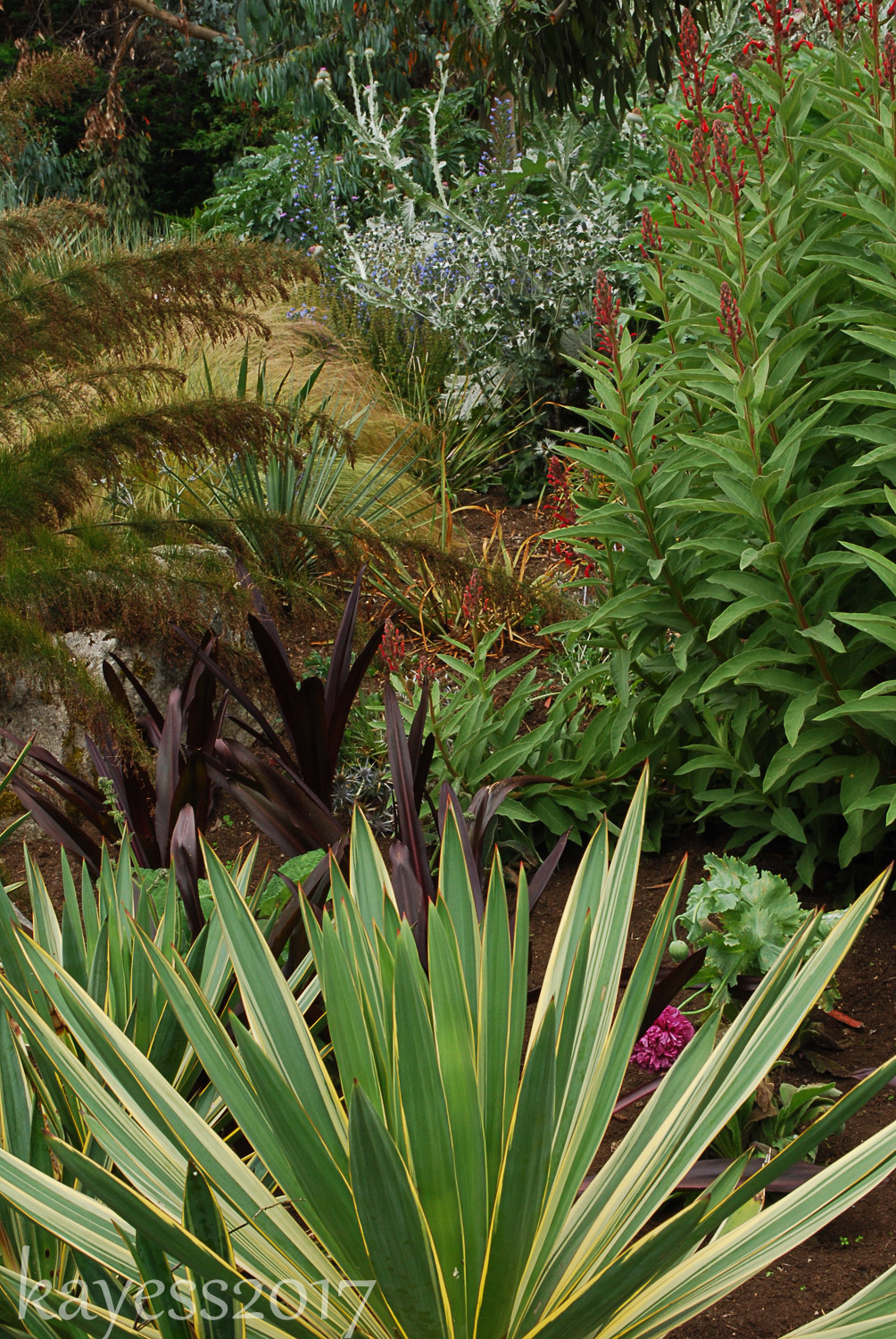 Throwback Thursday-Linda Cochrans' Garden