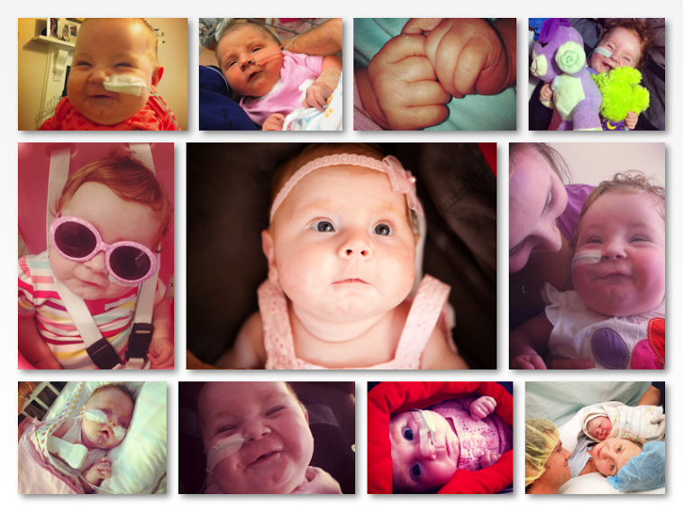 Lyla Poppy's Journey